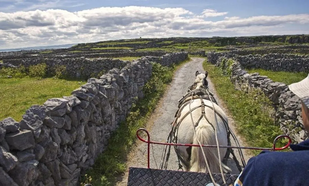 Boherbui Cottage On The Wild Atlantic Way-1