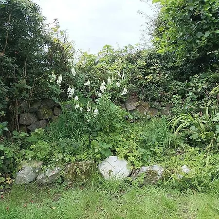 Gorse Cottage-2